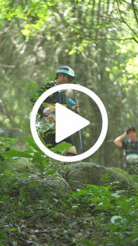 BIB:  <button type="button" onclick="openModal(27937744)" class="btn btn-primary btn-sm float-right" data-toggle="modal" data-target=".modal-high-quality">
                <i class="fa fa-download"></i> Download
                </button>